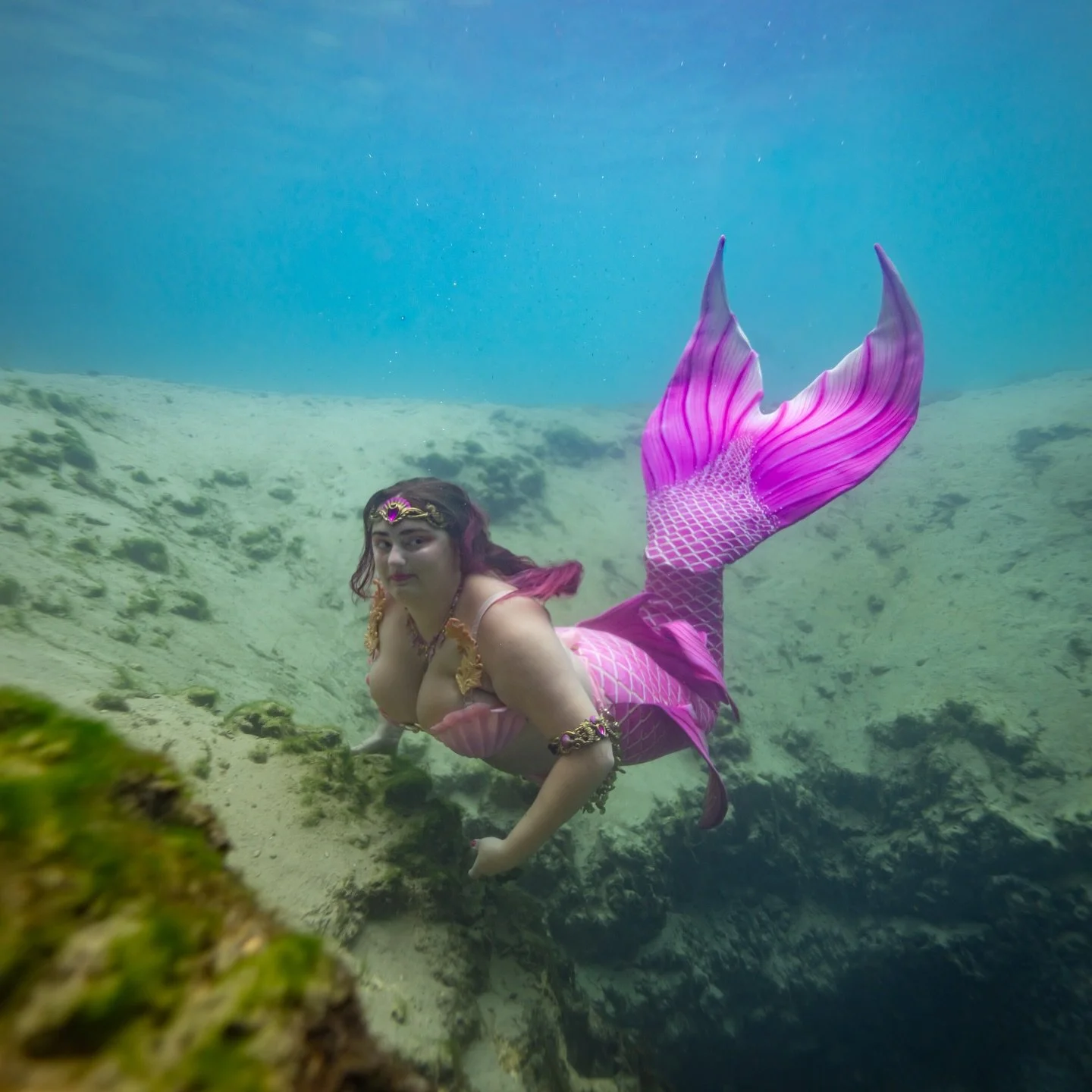 The future belongs to those who believe in the beauty of their dreams 💫
.
Hope you fishies are having a tailrific Tuesday! 🧜🏼&zwj;♀️🫧🩷✨
.
Alexandra the Mermaid is Connecticut&rsquo;s Premier Professional Mermaid. She is PADI Mermaid certified an