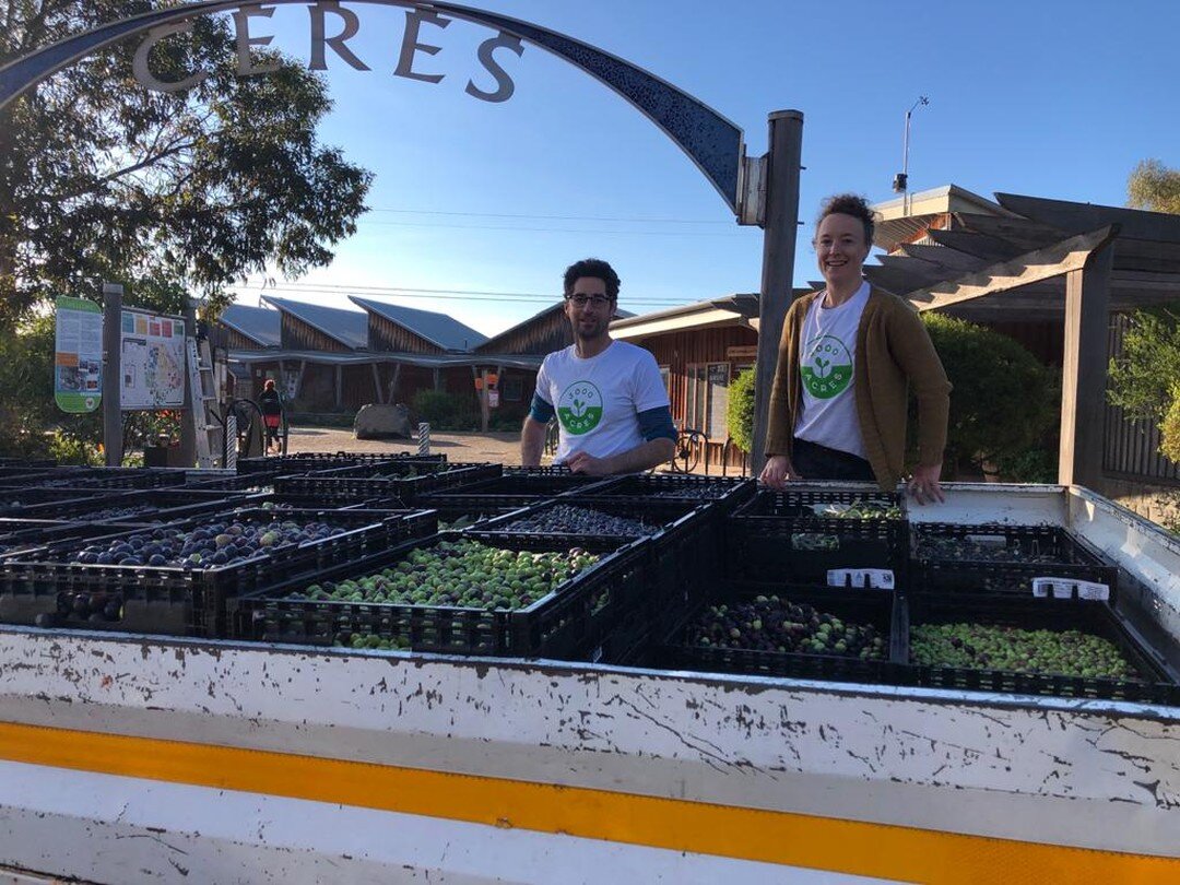 Olive Oil is coming back to @ceresbrunswick next weekend - Saturday 17th.

If you brought us olives but you're still waiting to hear from us - check your junk folder or get in touch 📧

If you missed out on the harvest but you'd still love to get inv