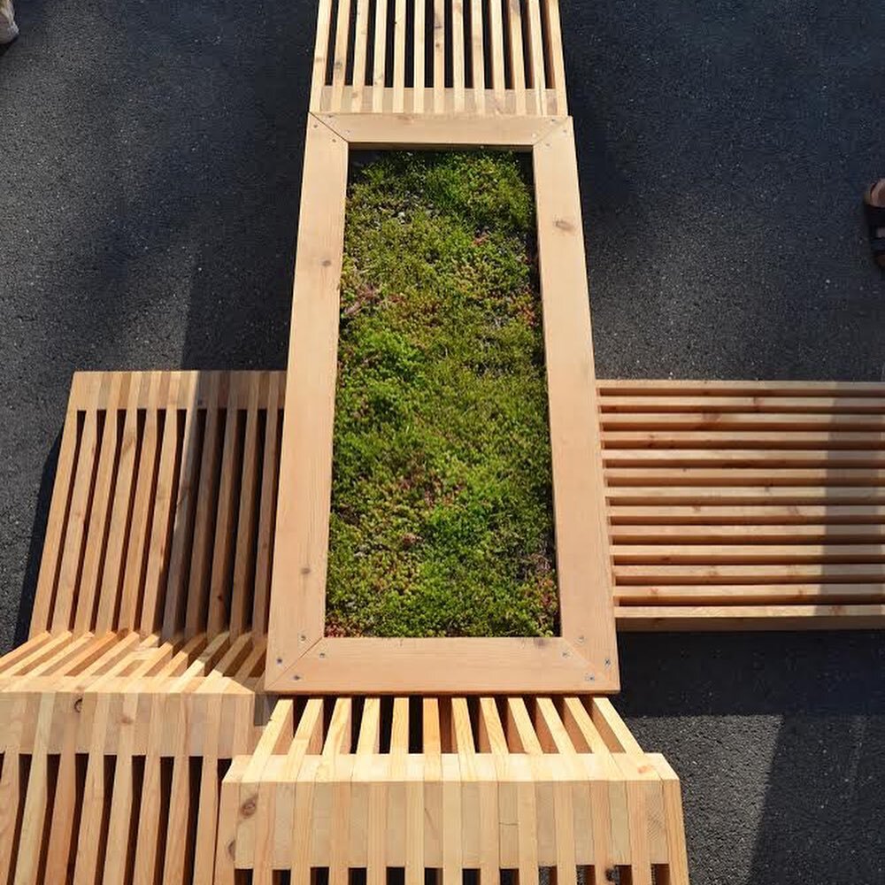 Dag 8 - Takket v&aelig;re @bergknapp.as fikk vi anledningen til &aring; utsmykke v&aring;r konstruksjon med nydelig sedum.