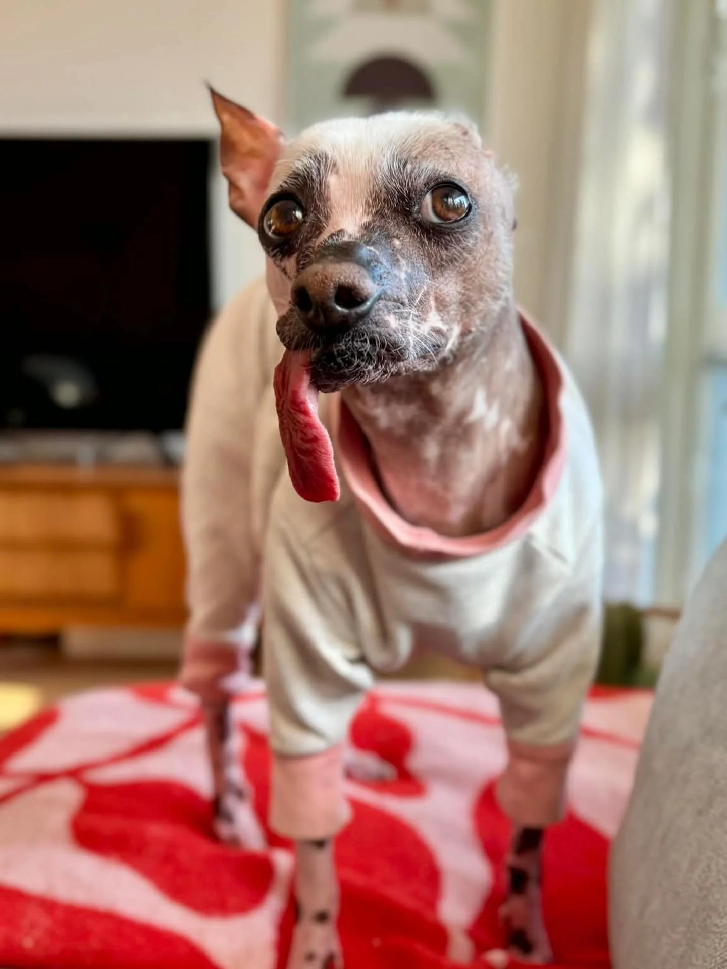 Naurattaa viel&auml;kin kun joskus viime syksyn&auml; jokin porukka maalitti Alfan somea ja alkoi v&auml;itt&auml;&auml;, ett&auml; meid&auml;n somepostauksemme on kirjoittanut teko&auml;ly. Sain &ouml;iseen aikaan vihaisia (ja humalaisia) viestej&au