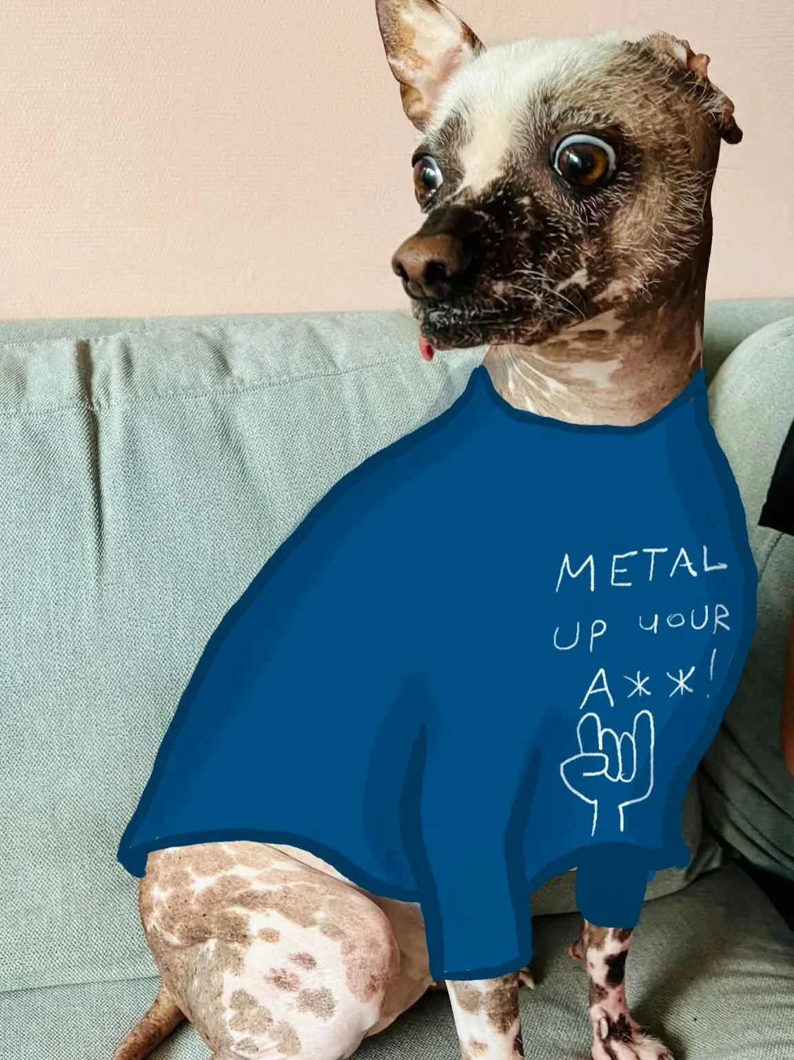 T&auml;lt&auml; Litku n&auml;ytti kun kerroin h&auml;nelle &auml;sken, ett&auml; huomenna aamulla laitellaan Alfassa hyllyyn ihan tosi paljon metallilevyj&auml;. Valikoimaa riitt&auml;&auml; h&aring;rd rockista aina laatubl&auml;kkikseen asti ja jemm