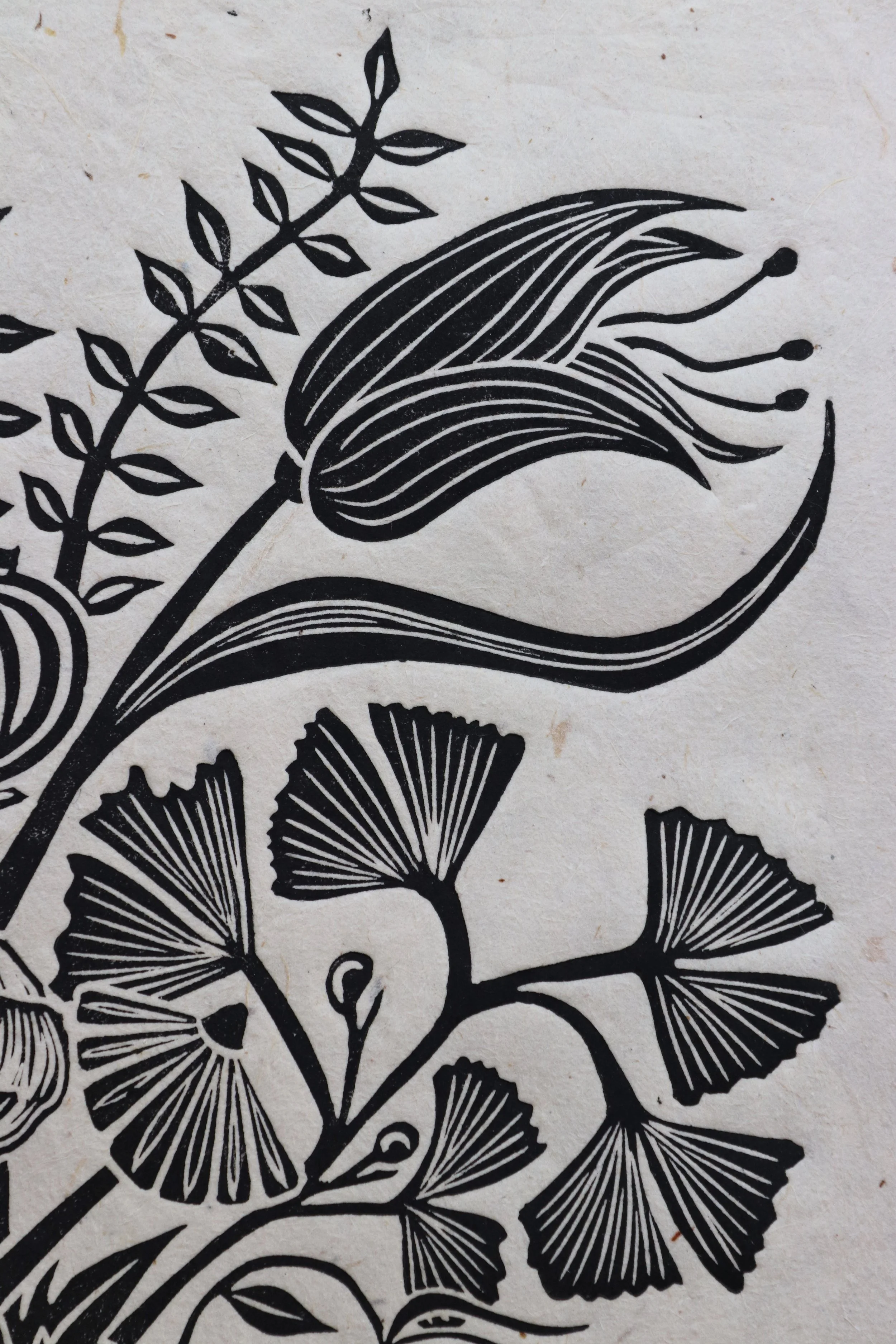 Explore Floral Prints