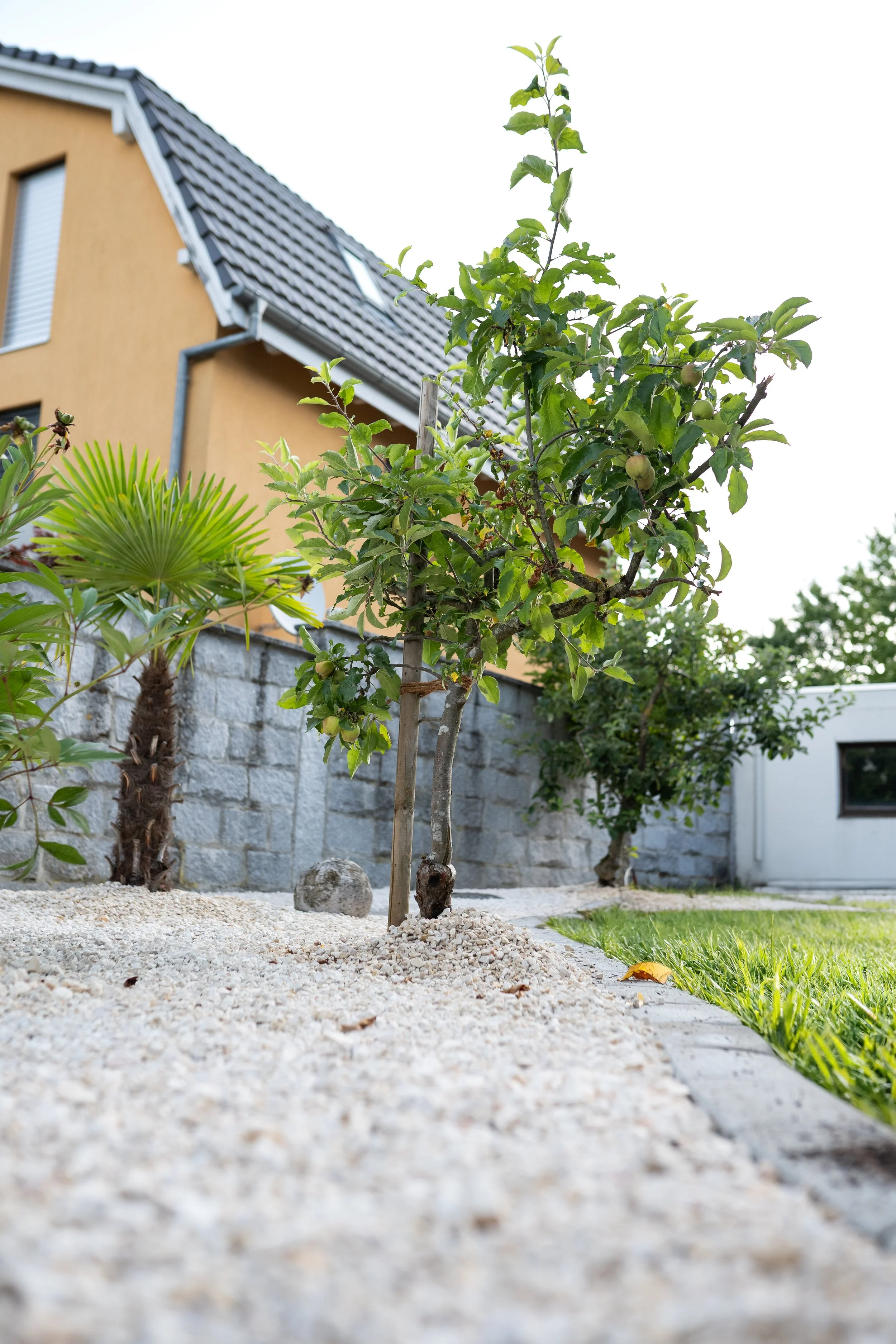 _1047145mit_rasen.jpg
