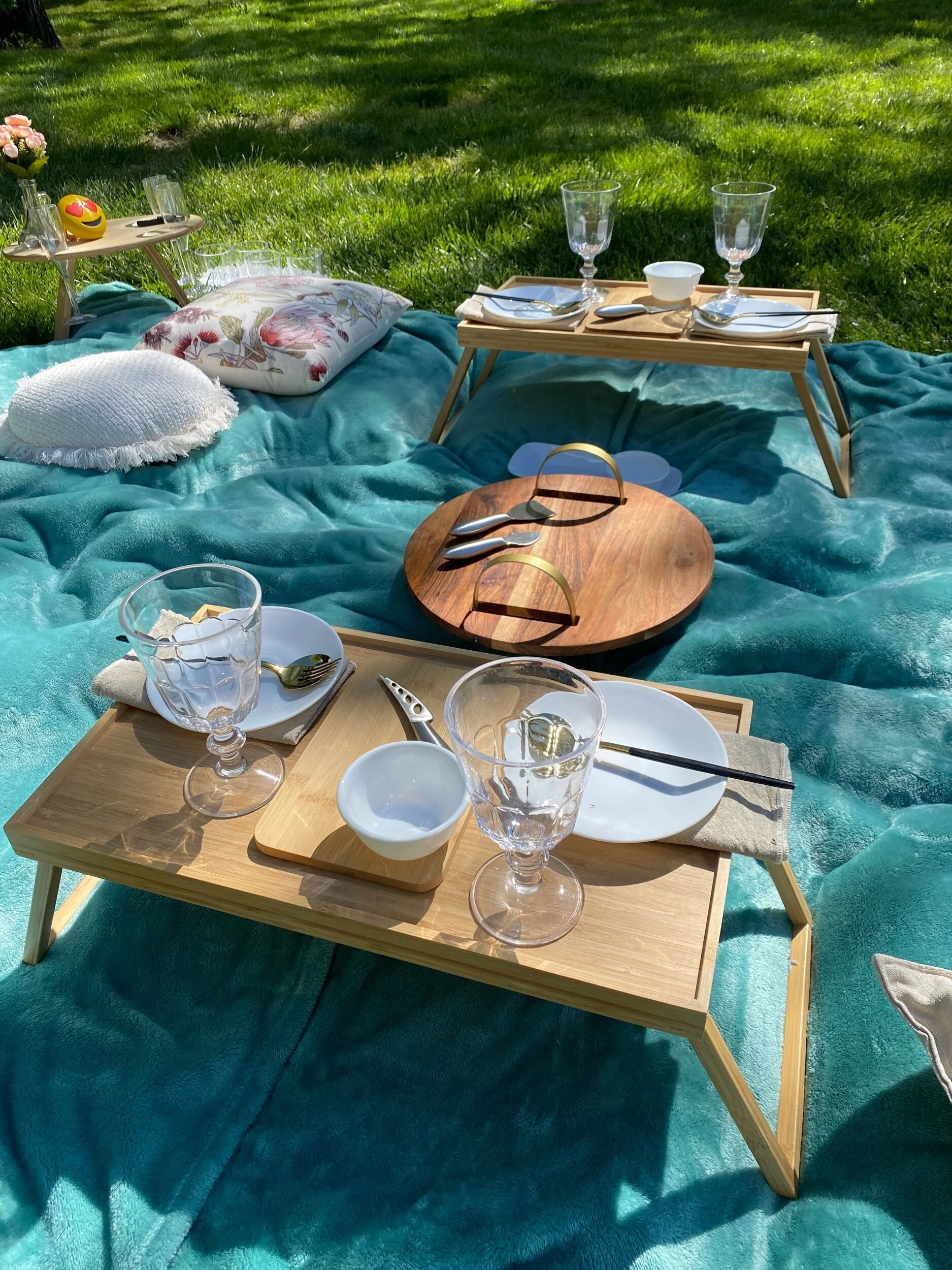 Charming Group Picnic full service