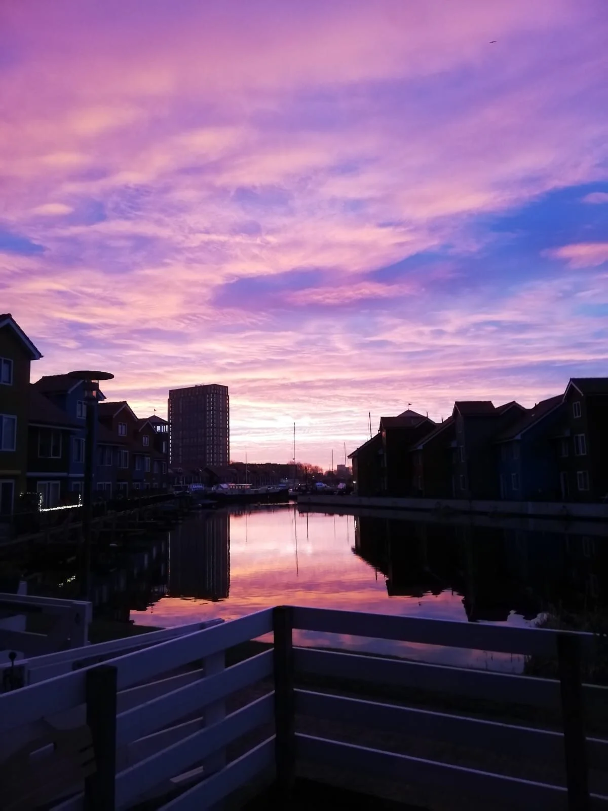 WhatsApp Image 2021-01-27 at 11.51.26.jpeg