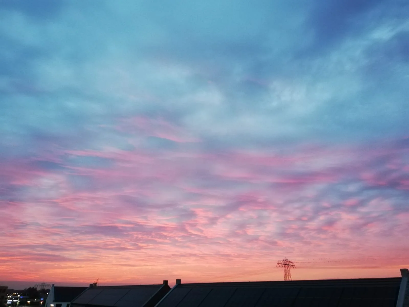 WhatsApp Image 2021-01-27 at 11.51.29 (1).jpeg