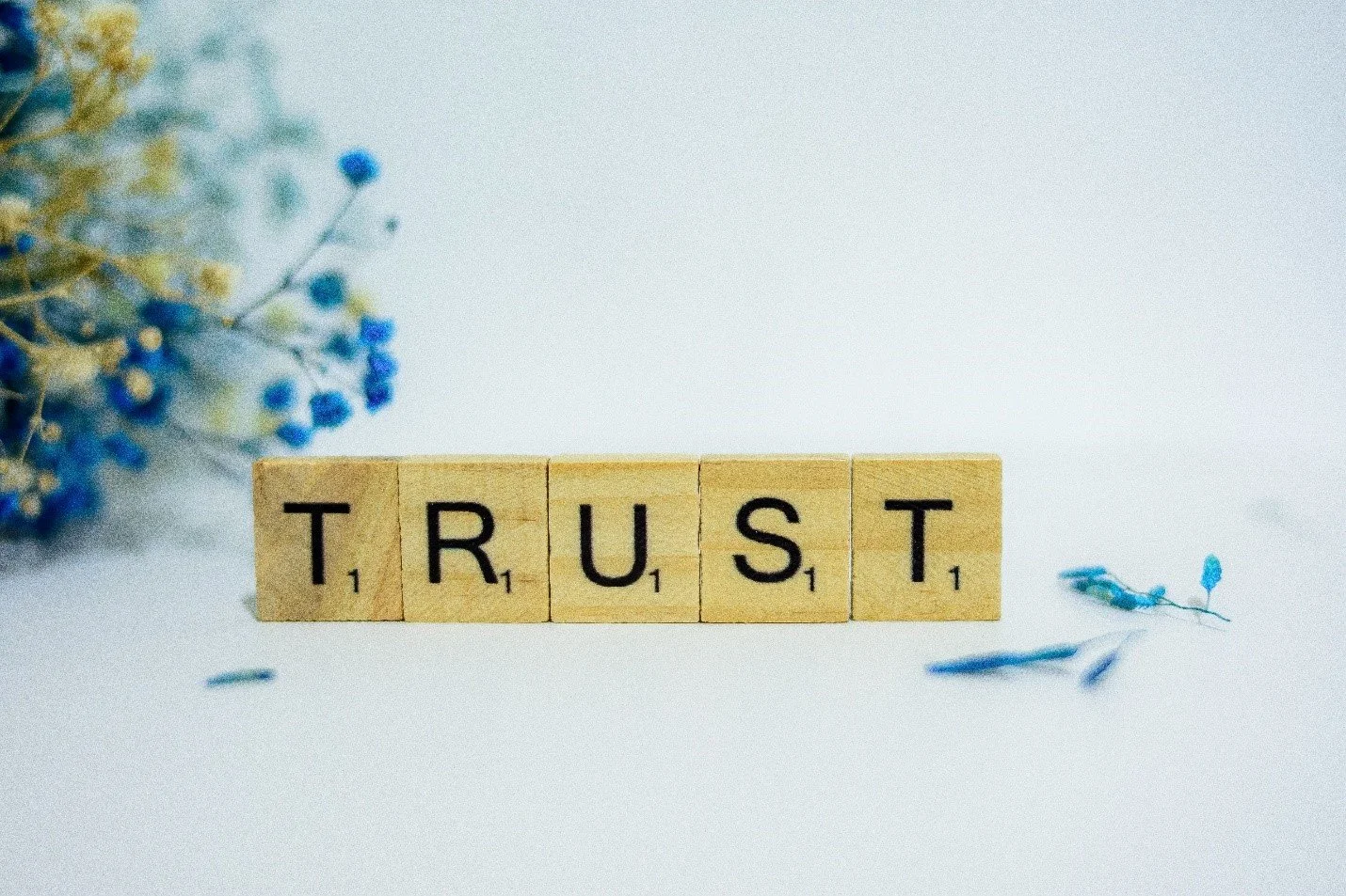 Trust as a Policy-Making Lens