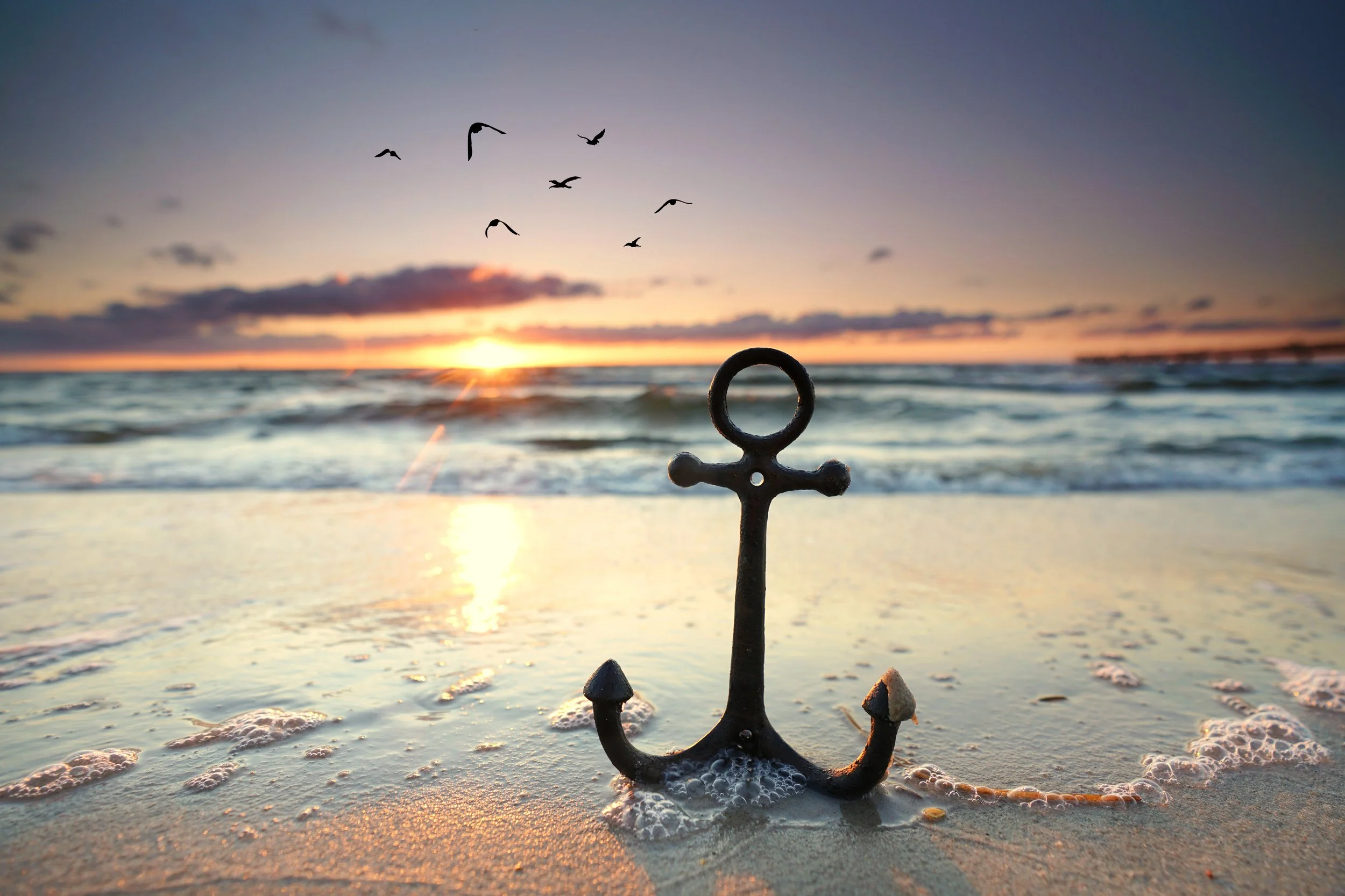 Leadership Transitions Are Organizational Stress Tests
