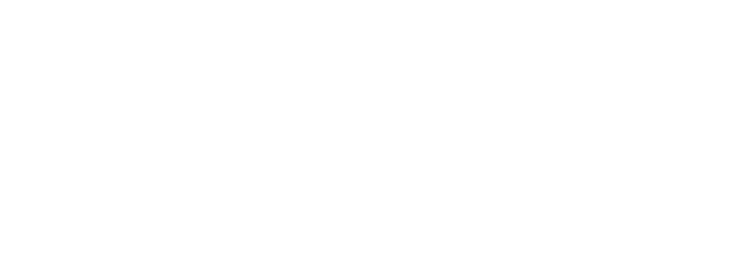 DigiDigga