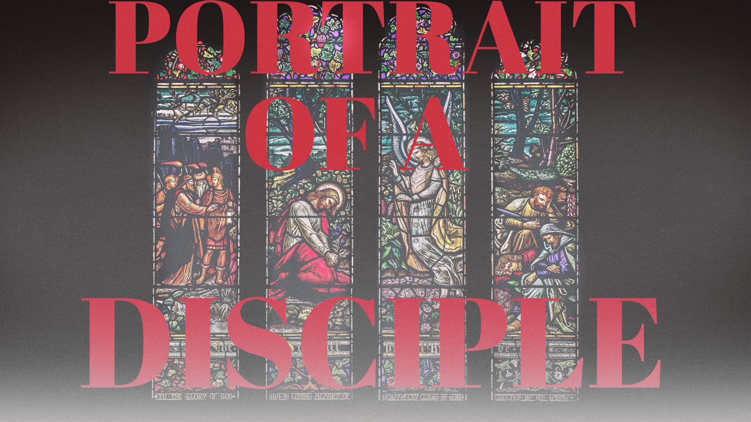 Portrait of a Disciple
