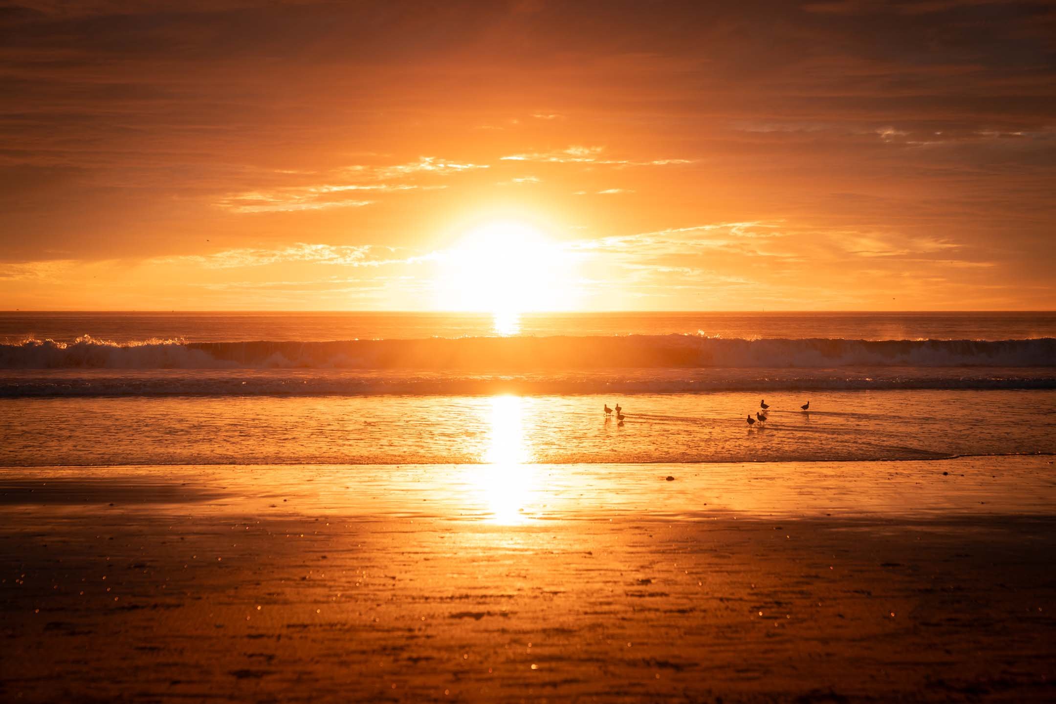 Golden hour beach at sunset at Venice Beach, Los Angeles