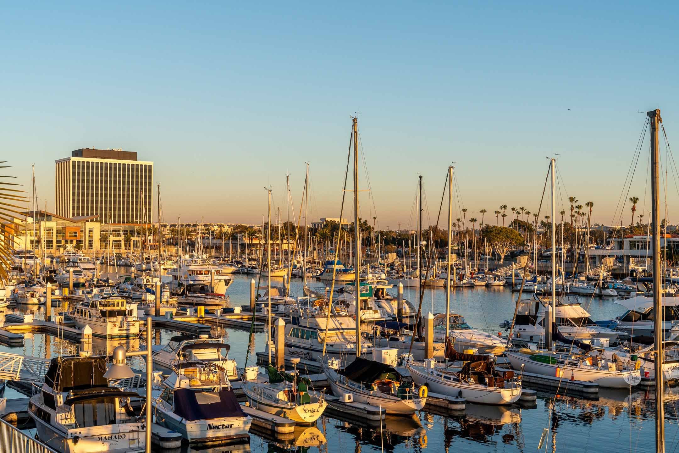 View of cruise boats at sunset in Marina del Rey