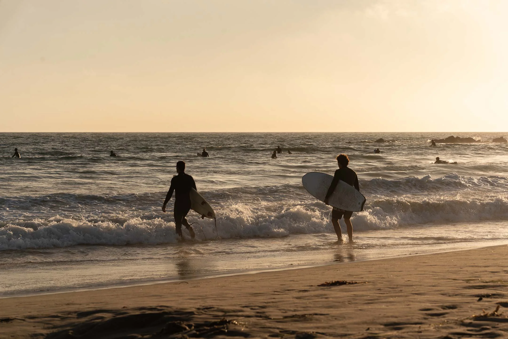 Surfers walking into the ocean with surf boards at sunset at Venice Beach