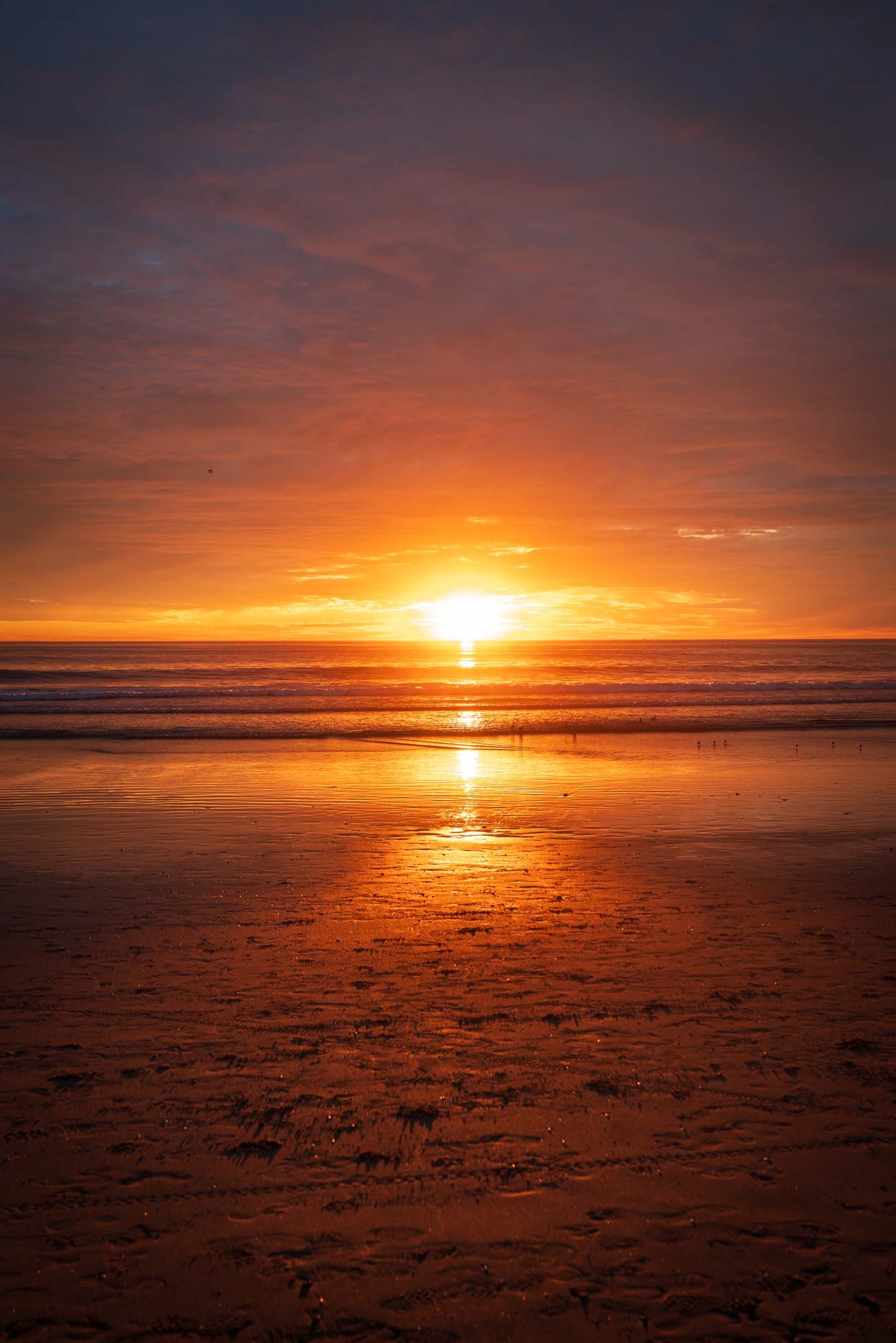Beautiful Venice Beach sunset in Los Angeles