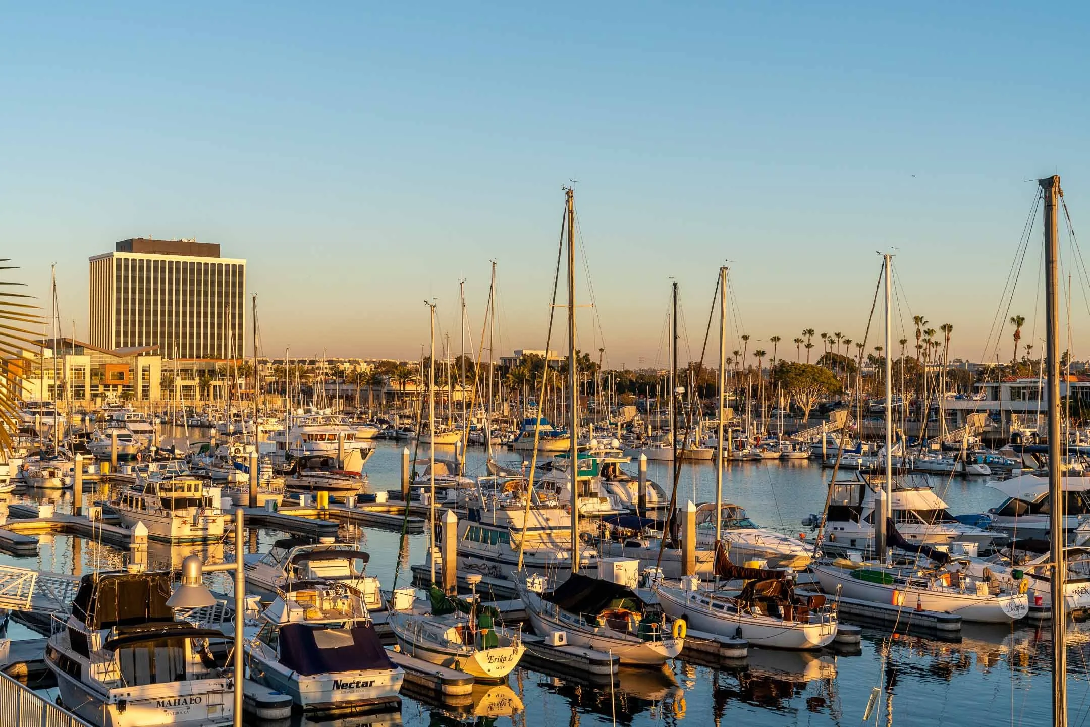 Cruise boats at Marina del Rey at sunset