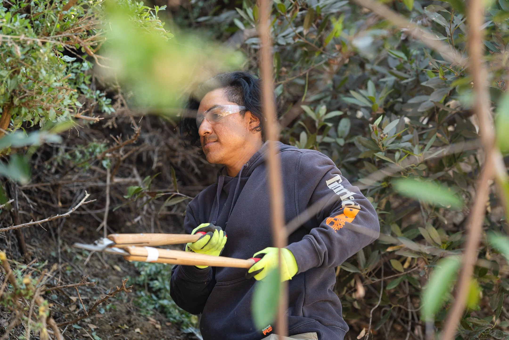 TreePeople volunteer cutting branches for environmental work
