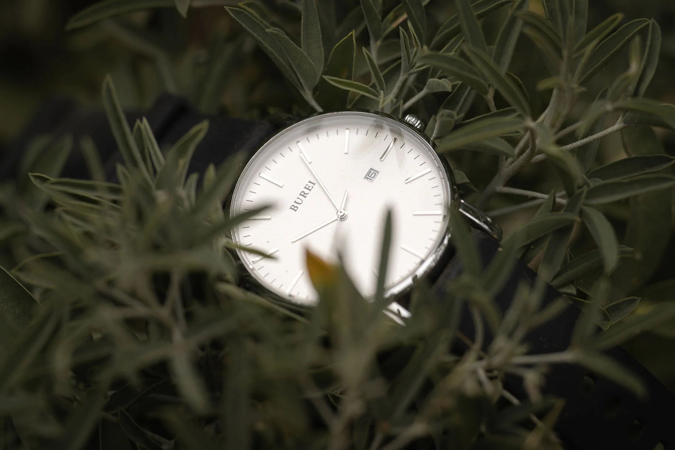 Black watch hidden in dark green grass