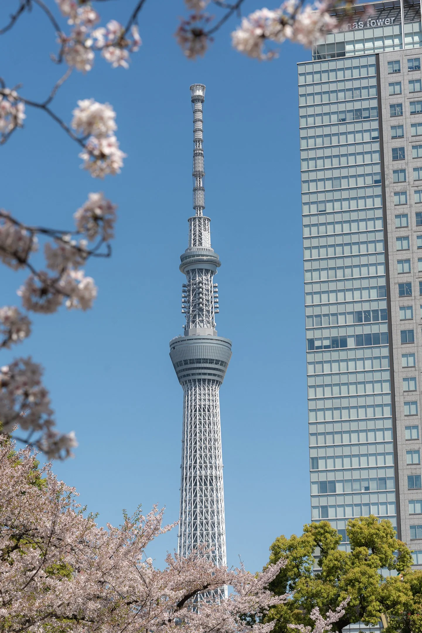 The Tokyo Skytree: Iconic Architecture in Sumida, Japan Photography ...