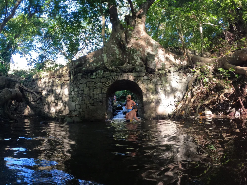 GPTempDownload 12.JPG