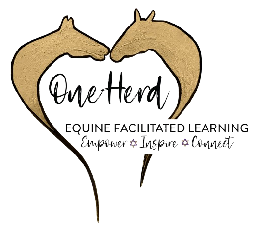 One Herd - Equine Facilitation