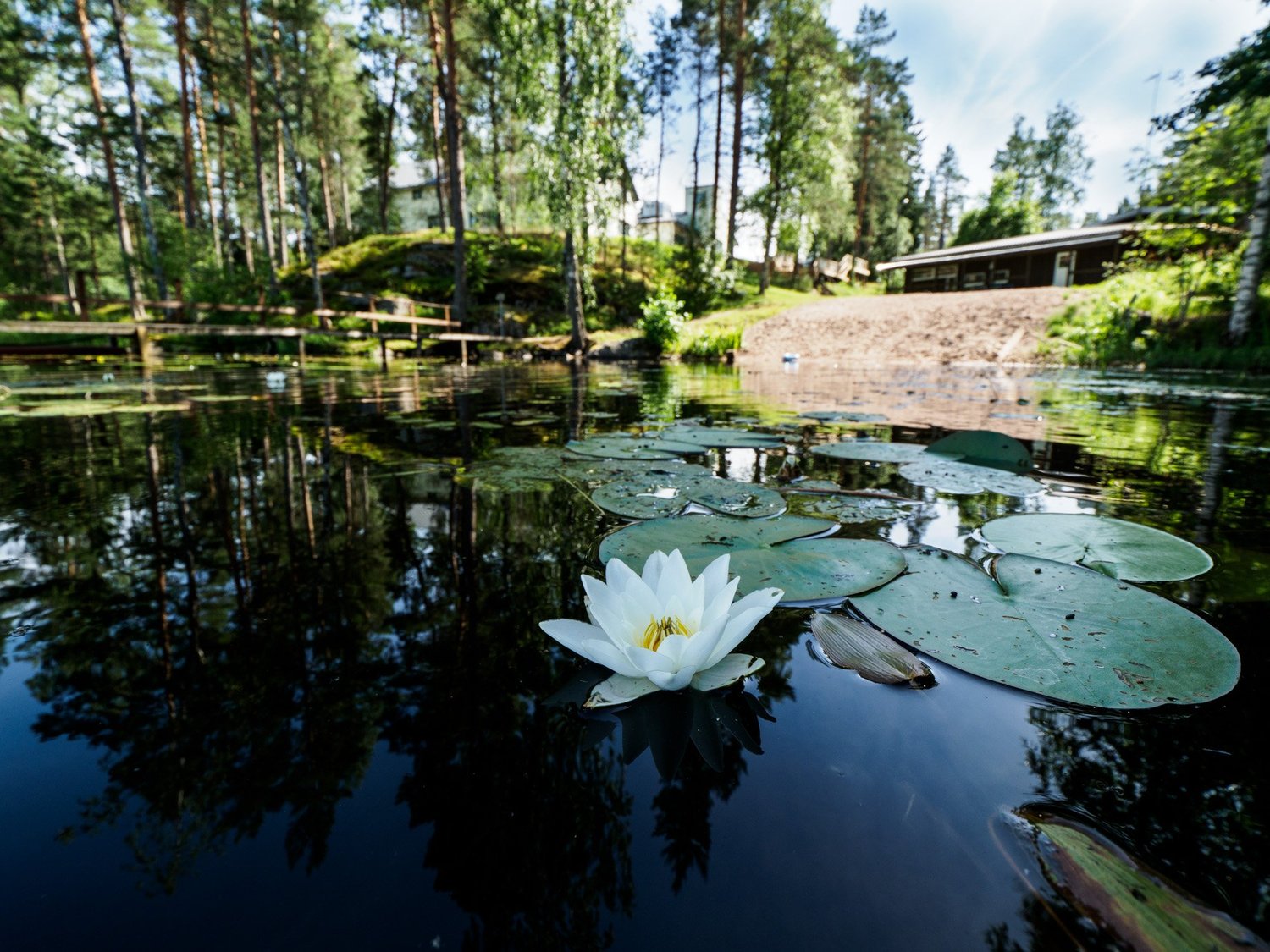 Polku Resortin rantasauna ja uintipaikka Kurjolammen rannalla