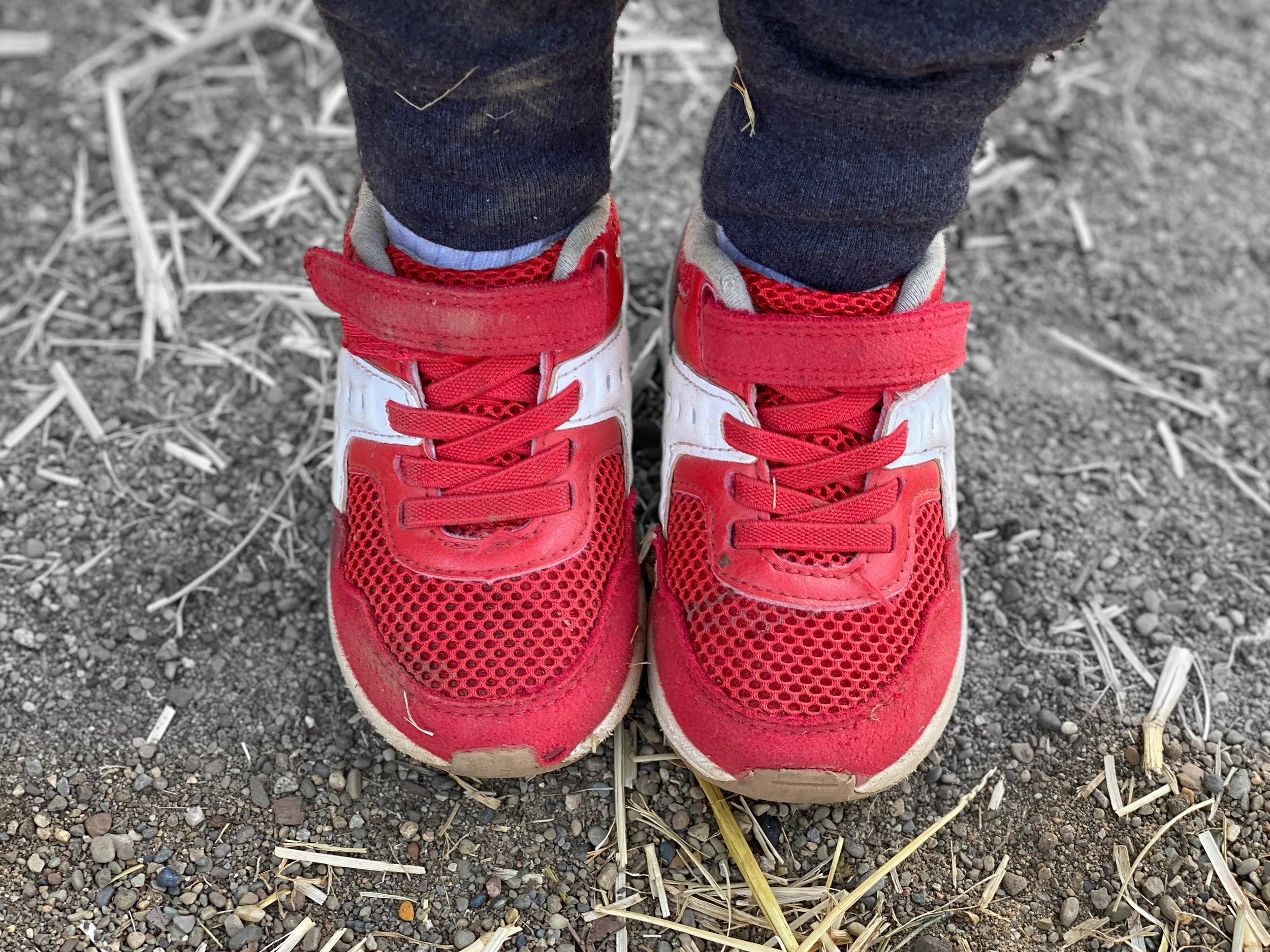 2 & 3 year old Playschool — Kismet Kinders