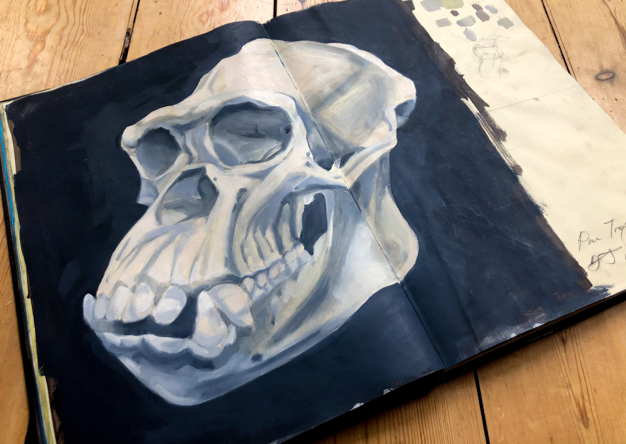 A detailed painting of a human skull on an open notebook resting on a wooden surface.