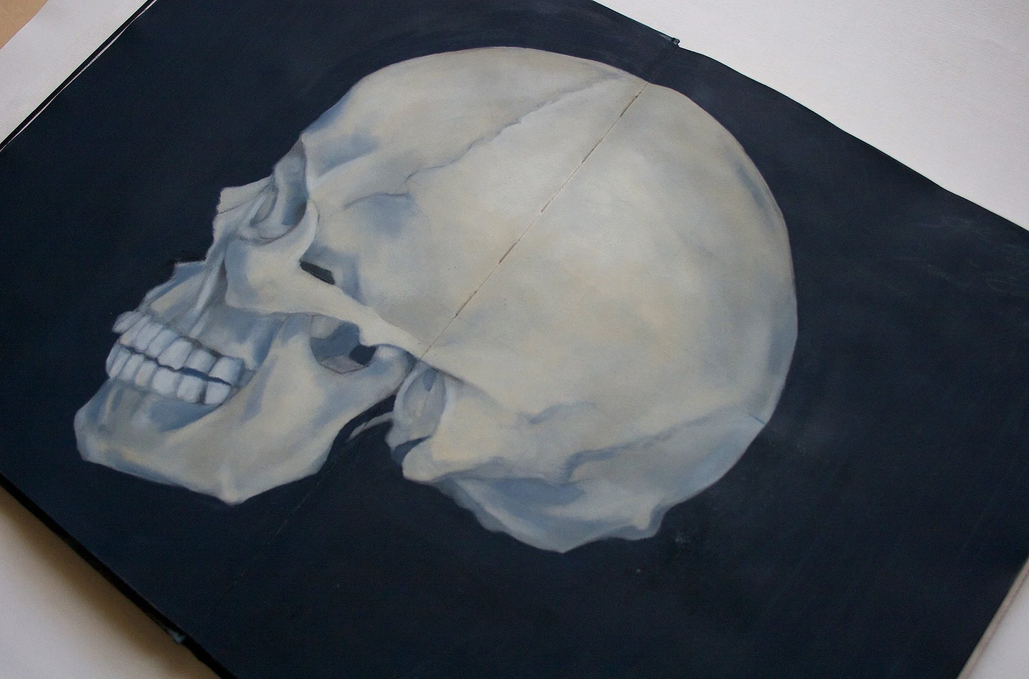 Painting or illustration of a human skull in a profile view against a dark background.