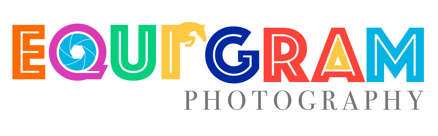 Equigram Photography