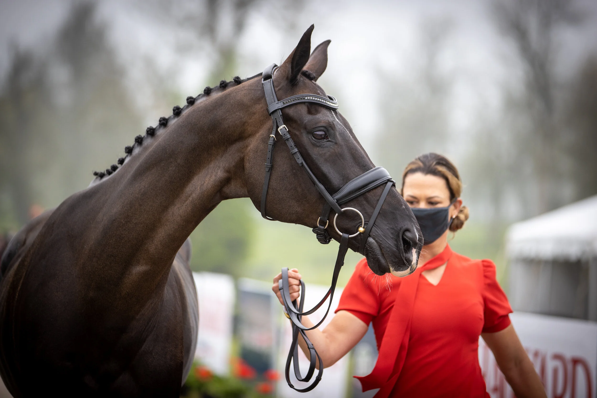 LRK3DE 2021 - SECOND HORSE INSPECTION