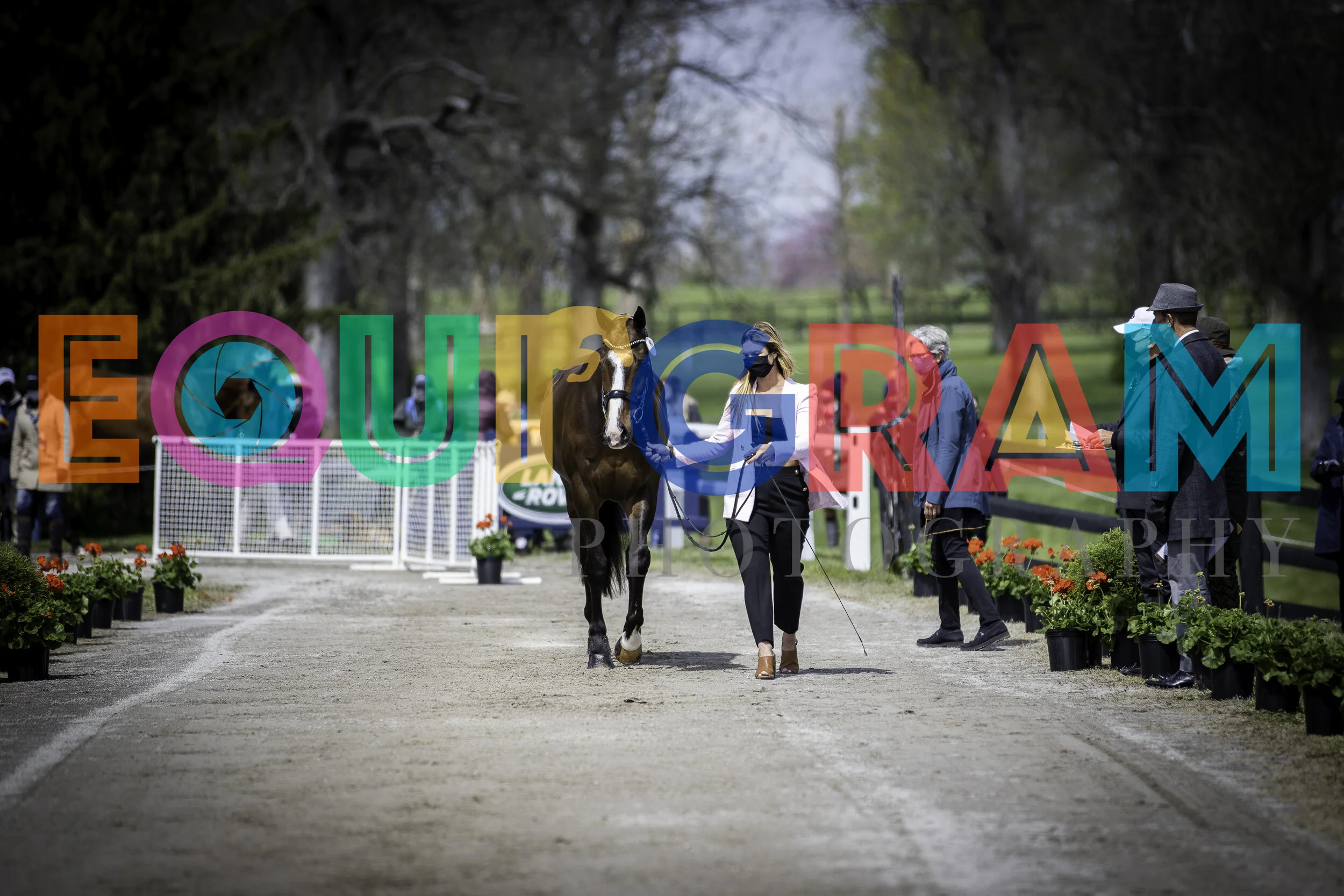 AH5I1587.jpg