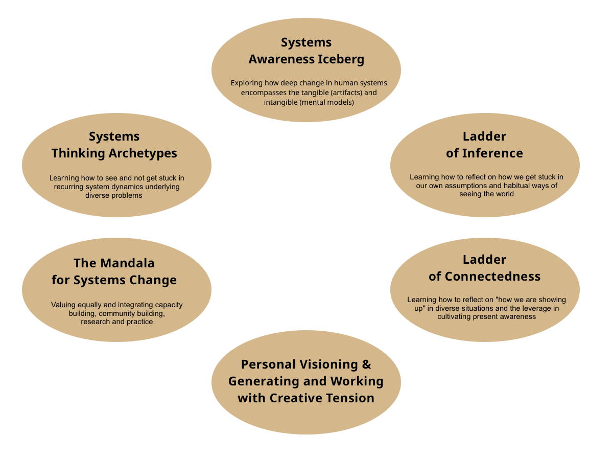 6 elements of Compassionate Systems Change