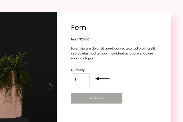 How to Hide the Product Quantity Box on Squarespace (Easy!)