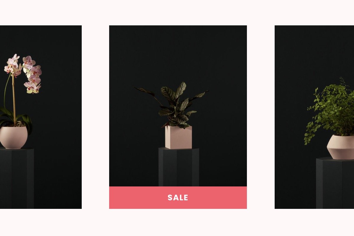 Sale Labels