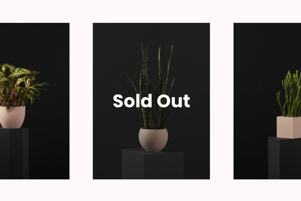 Sold Out Labels