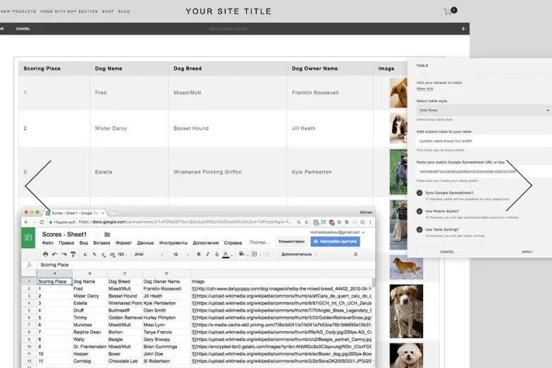 SquareWebsites table extension