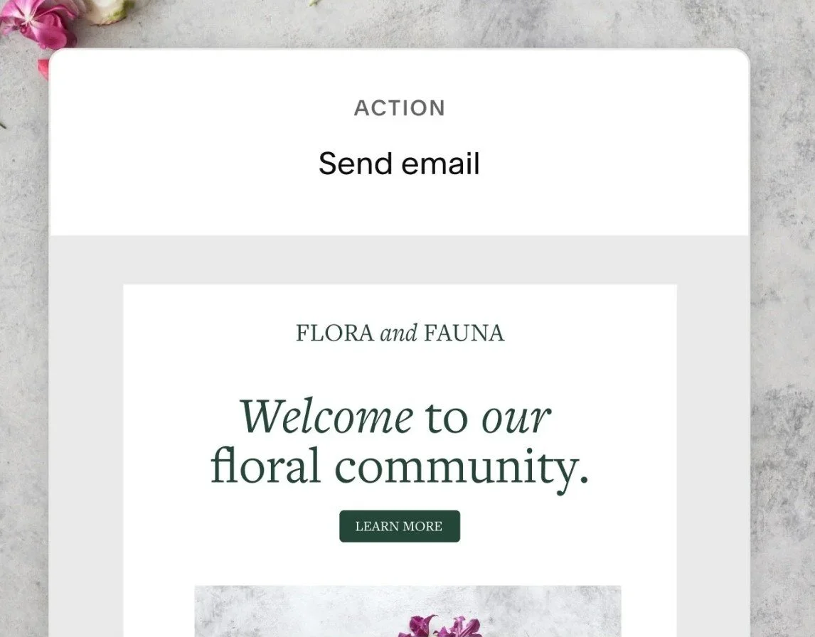 Example of drip campaign in Squarespace