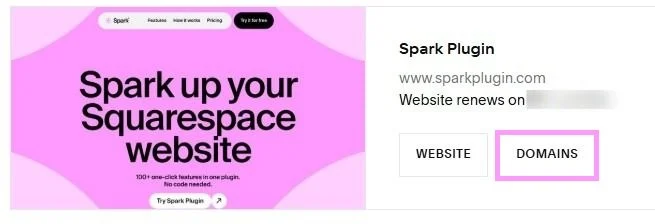 Domains button in Squarespace