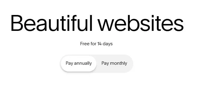 Squarespace pricing page tagline