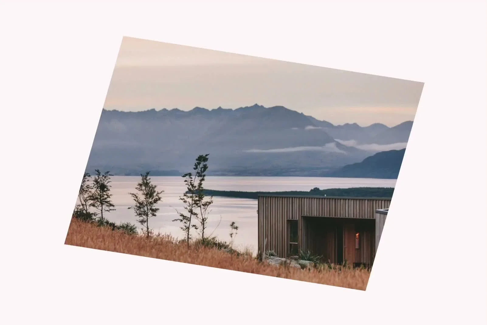 /s/animated-images-shape.mp4