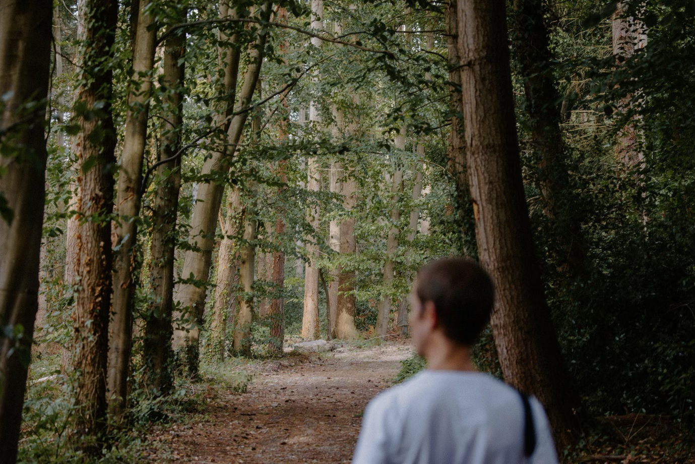 Why You Should Seek Legal Advice as Early as Possible When Going Through a Divorce