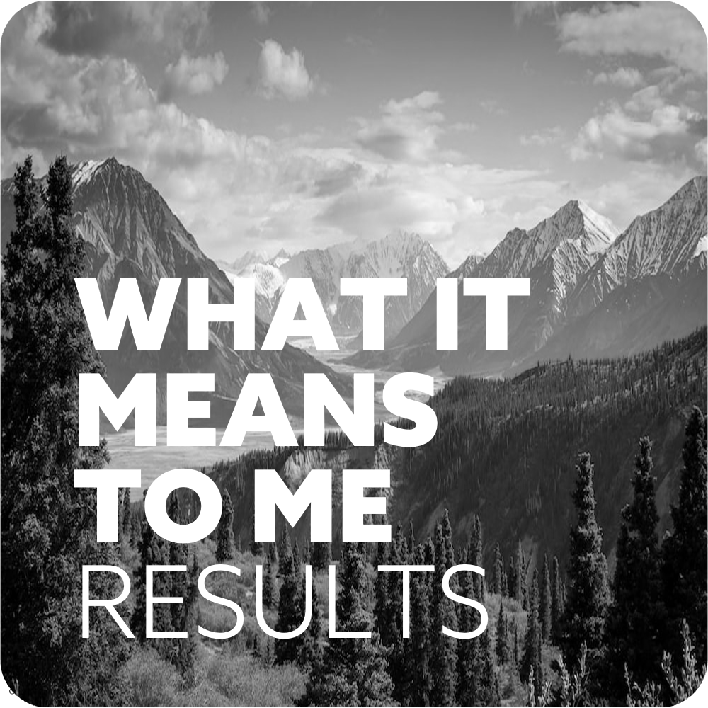 What it Means Results.png
