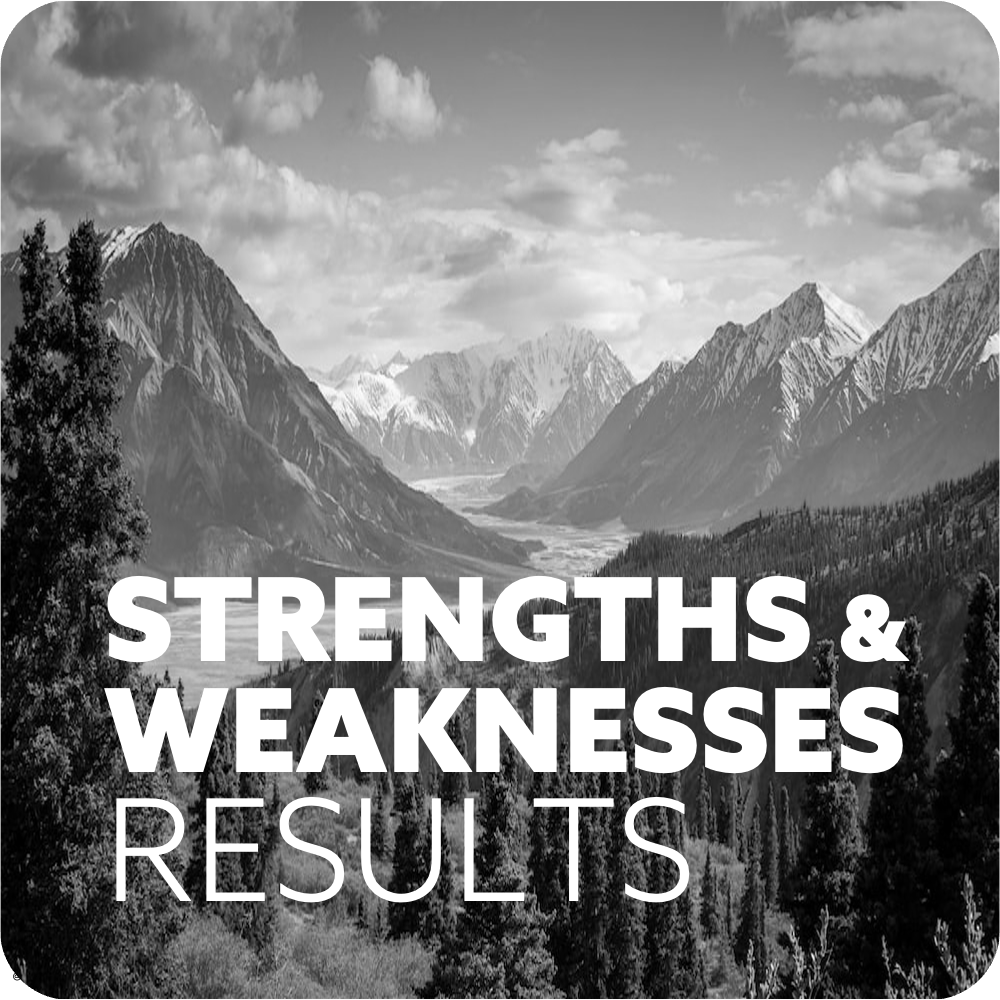 Strengths Results.png