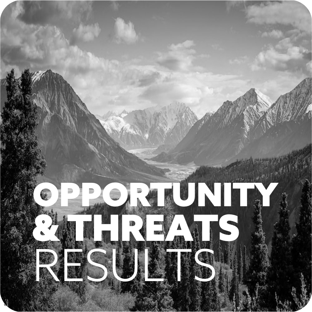 Opportunities Results.png