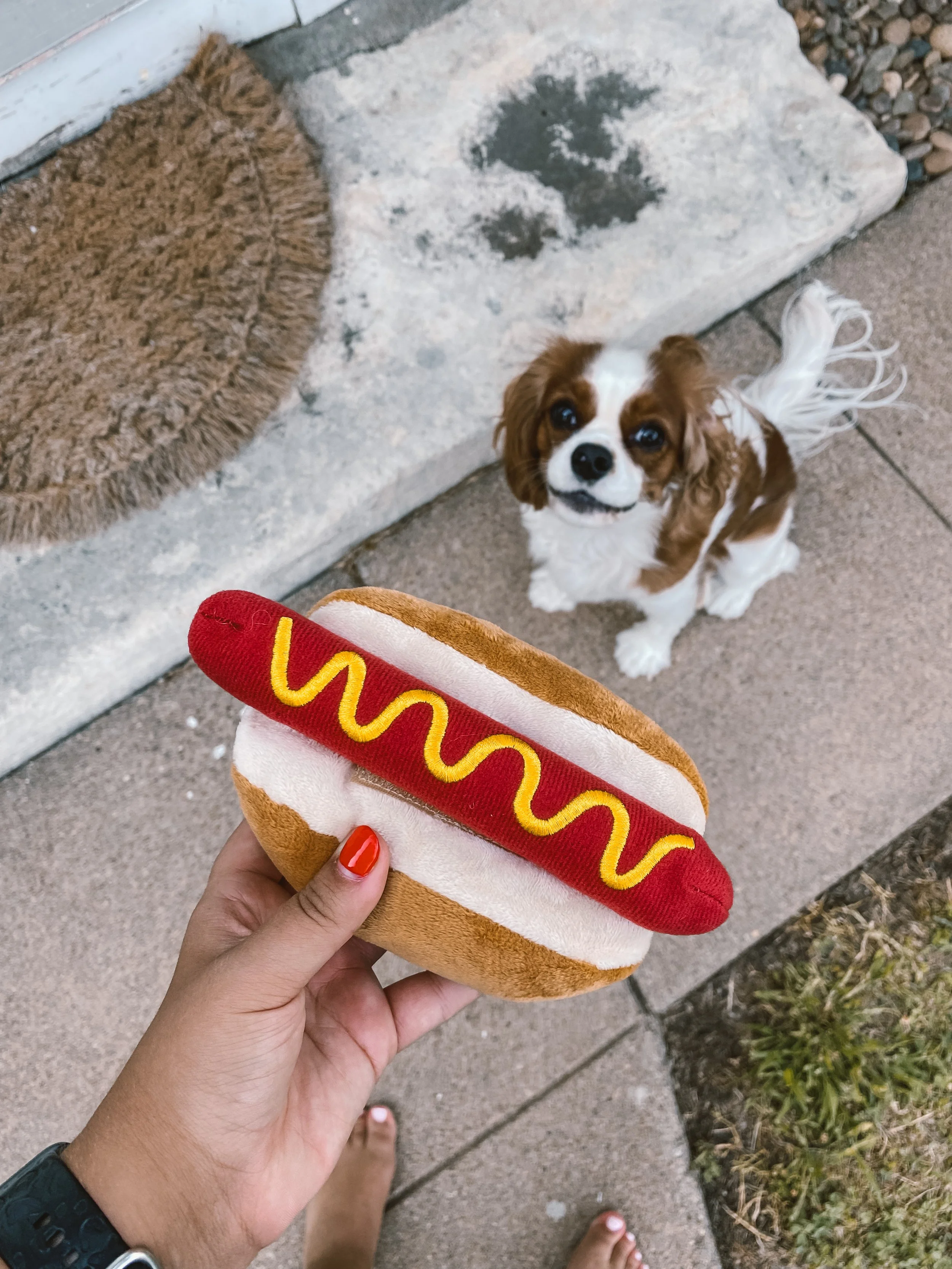 hot dog 2.JPG