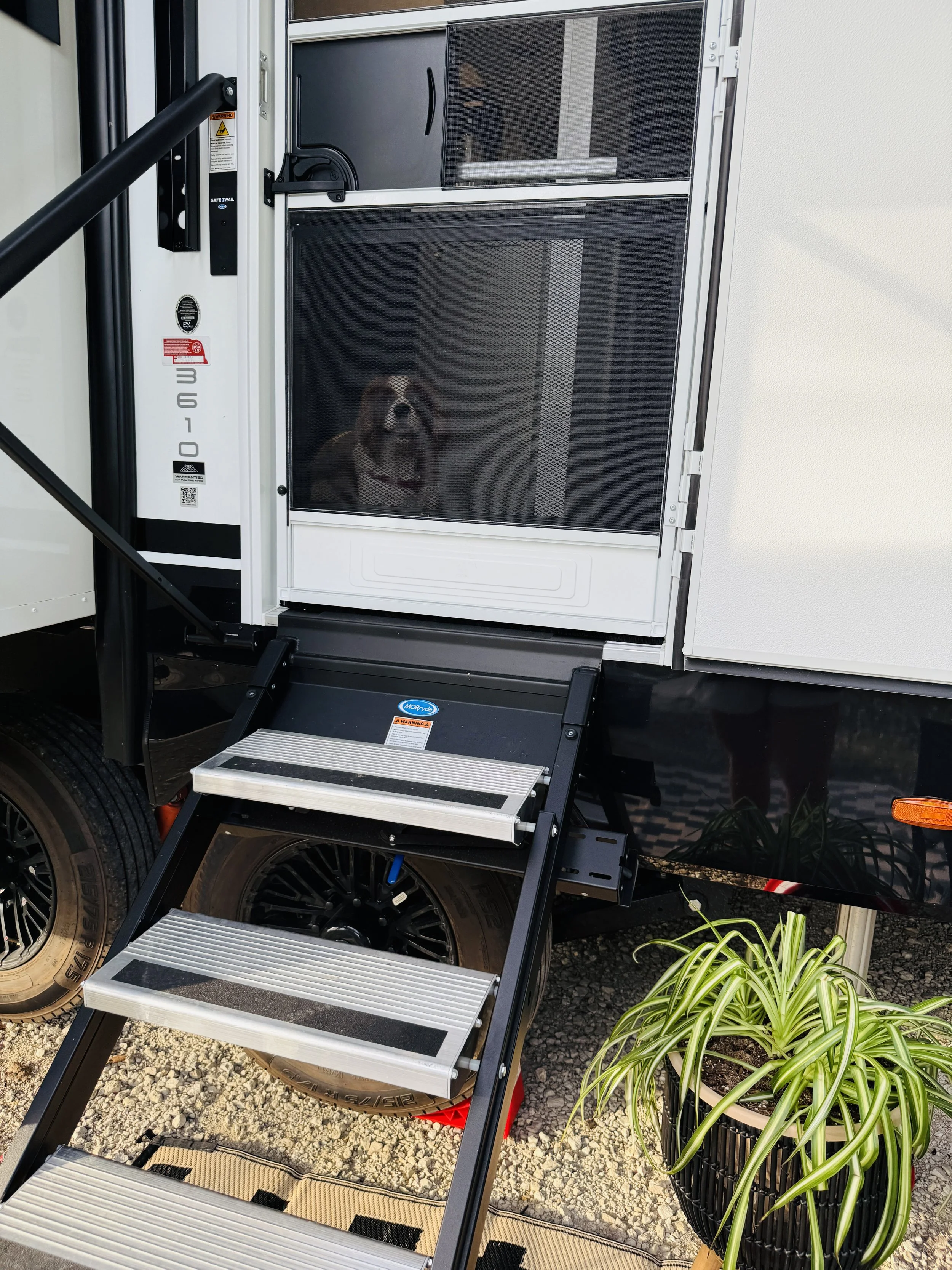 FullSizeRender (2).JPEG