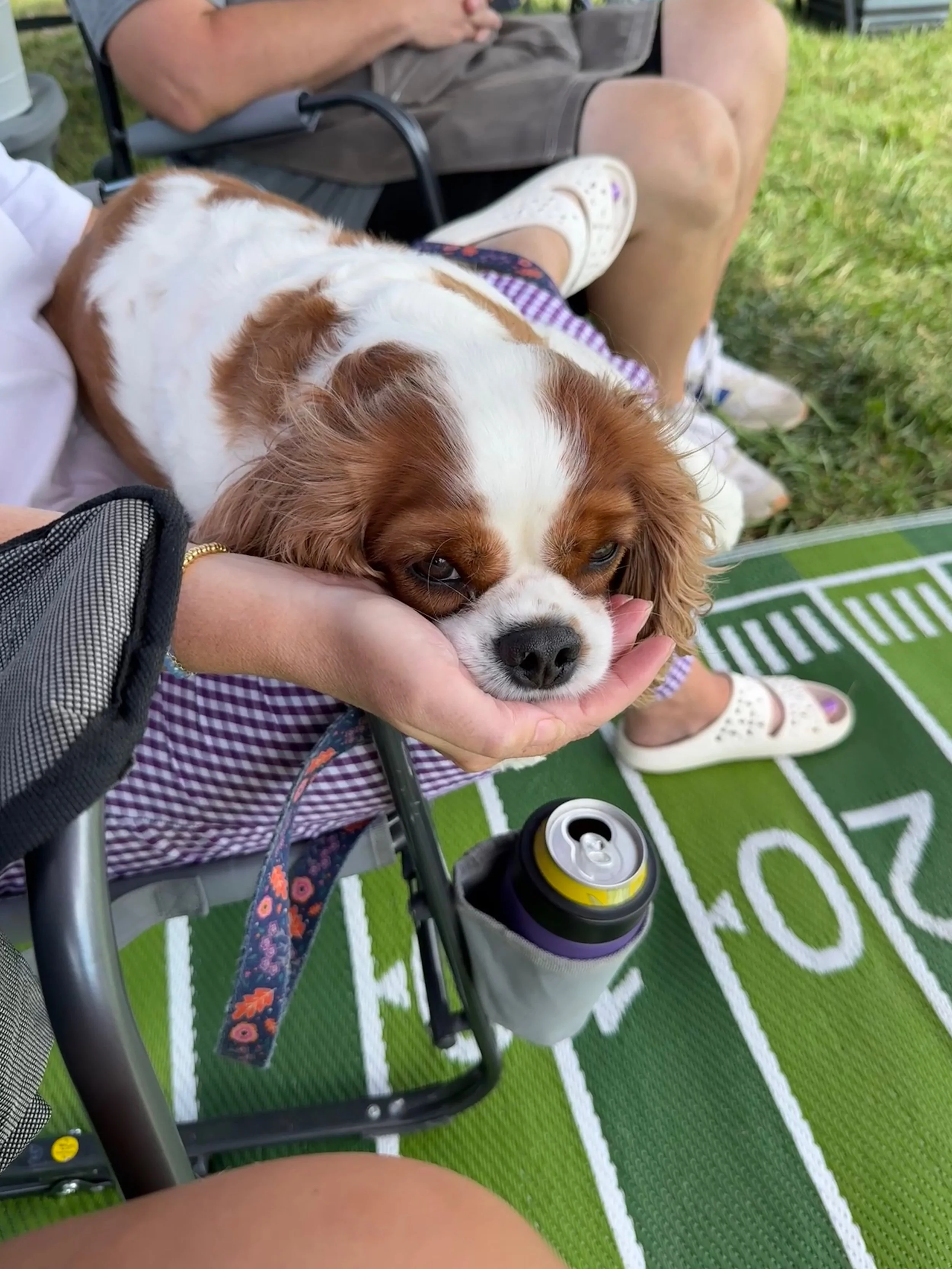 FullSizeRender (3).JPEG