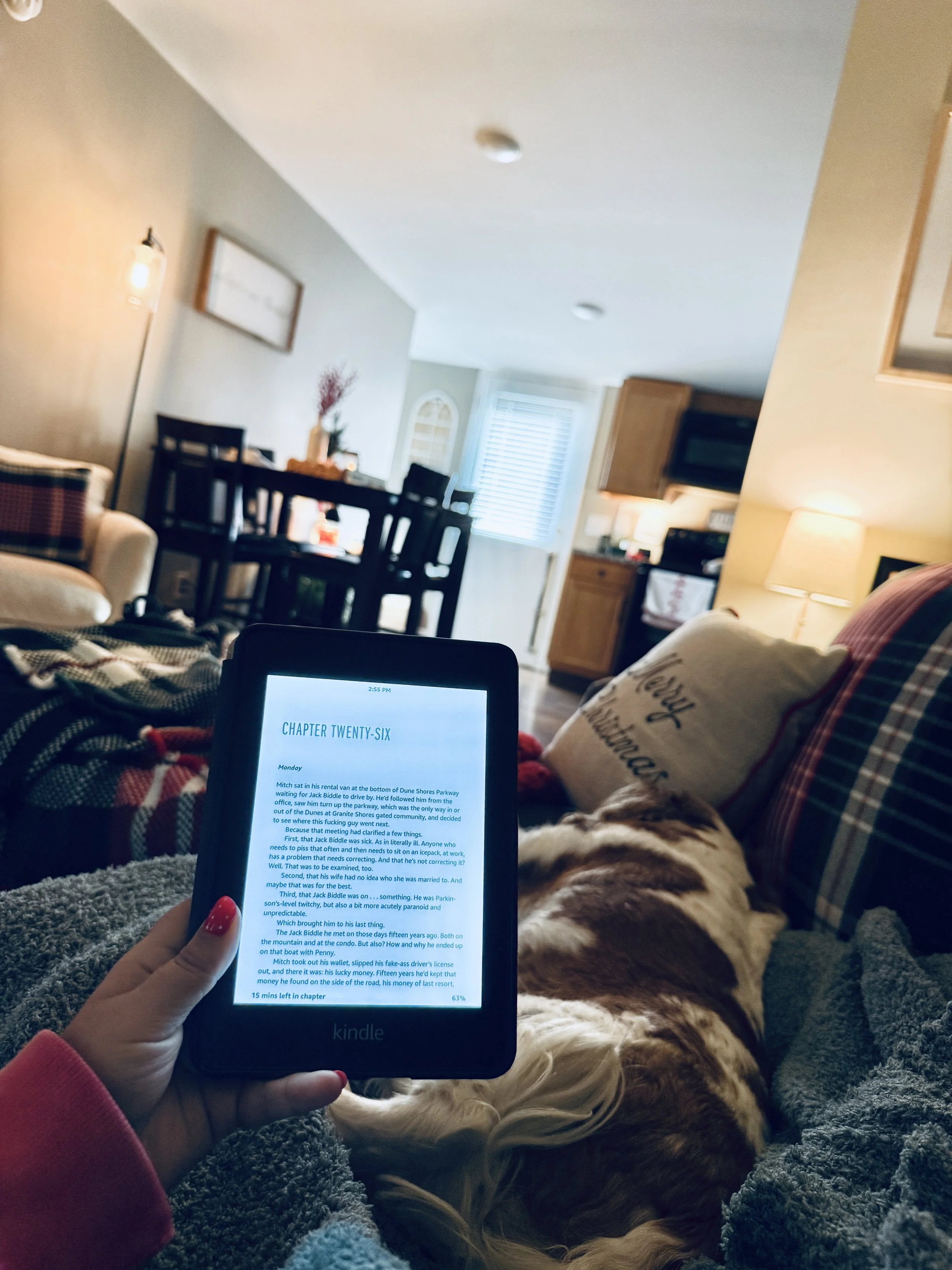 On the bookshelf in December