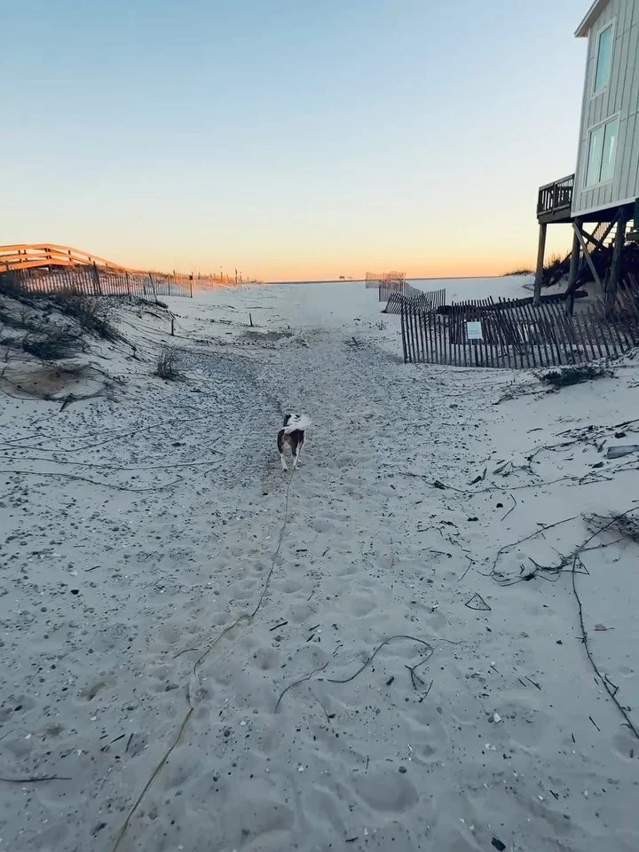 As many of you know, this fall my parents sold their home &amp; are now living in a camper full time. We decided to use this to our advantage for Christmas break &amp; do some traveling together. I finally went through everything &amp; created a blog