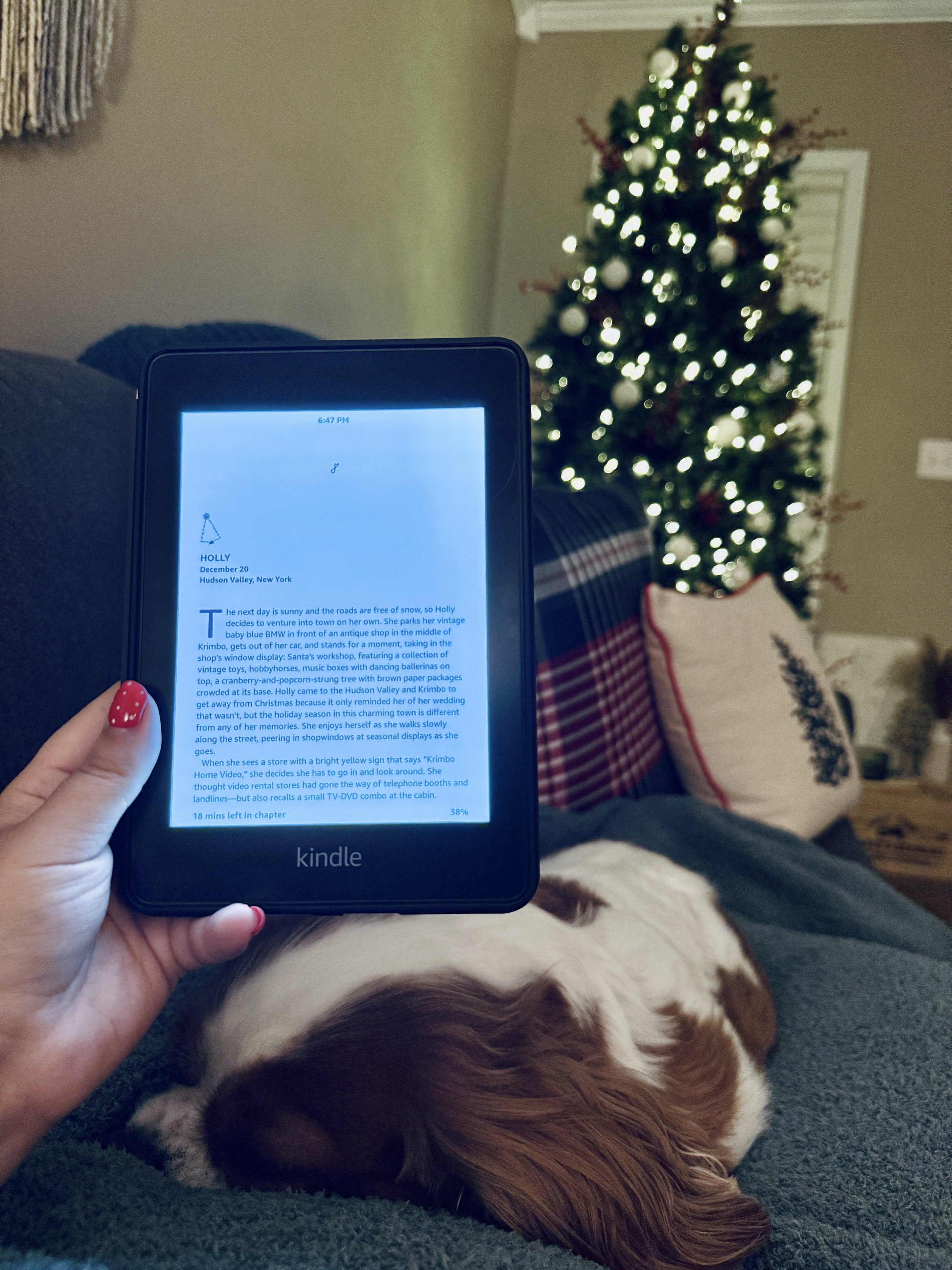 On the bookshelf in January